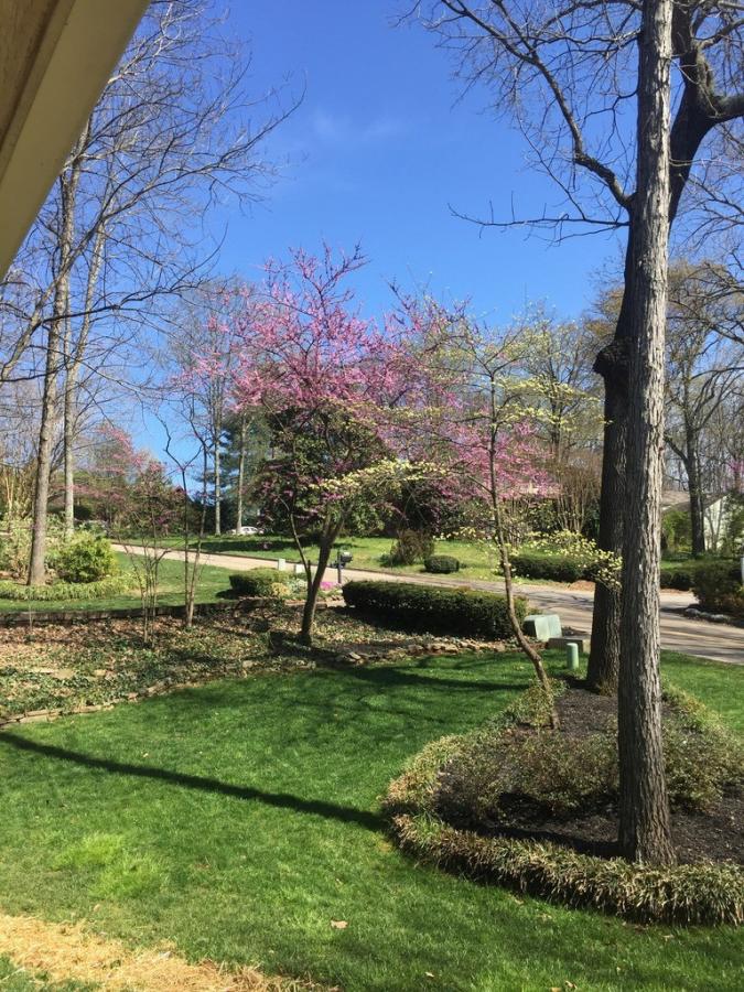 Click image for larger version

Name:	2076D6C6-FF78-46C6-A41D-3EC7C48292F1_zpsvoeptrje.jpg
Views:	1
Size:	156.4 KB
ID:	4100