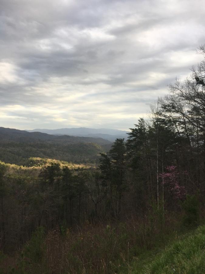 Click image for larger version

Name:	20768DB5-1DD9-469B-9F5D-81D83D625AA4_zpszy6drcb1.jpg
Views:	1
Size:	66.0 KB
ID:	4101