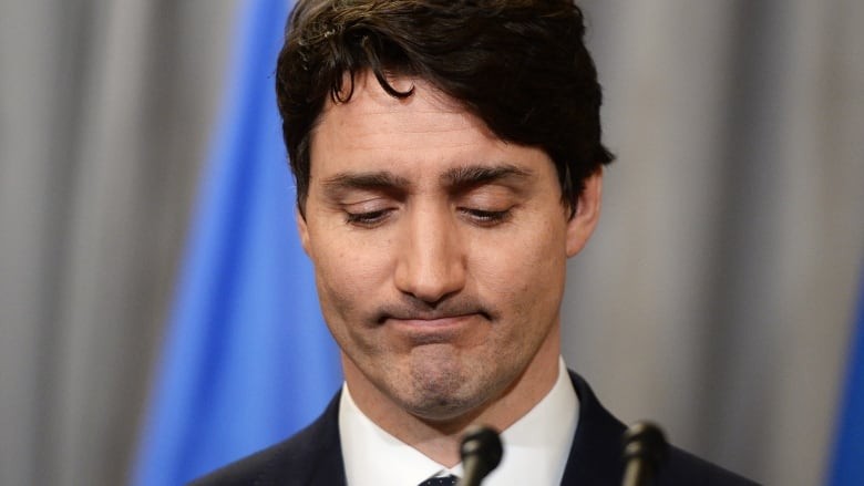 Click image for larger version  Name:	trudeau-tb-apology-20190308.jpg Views:	1 Size:	38.8 KB ID:	8313