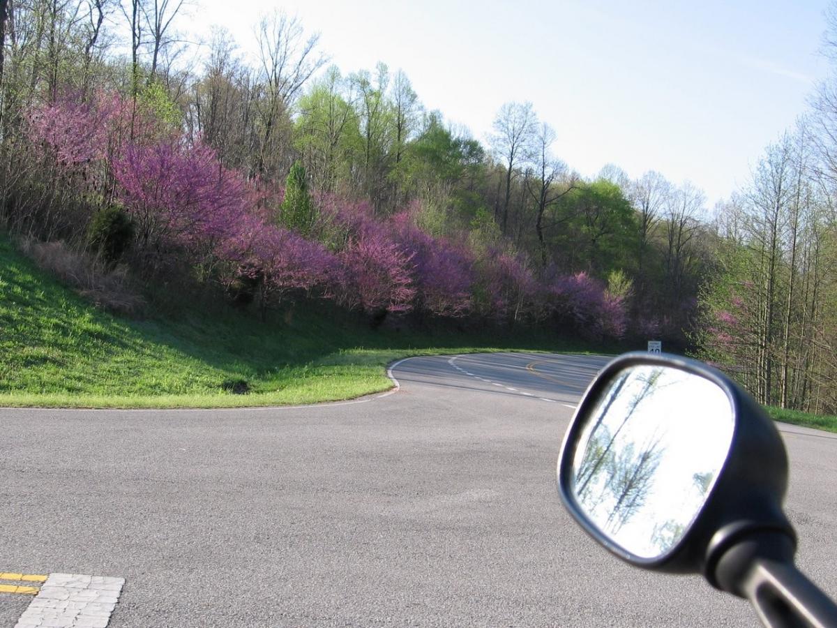 Click image for larger version

Name:	002 Natchez Trace.JPG
Views:	1
Size:	194.9 KB
ID:	9123