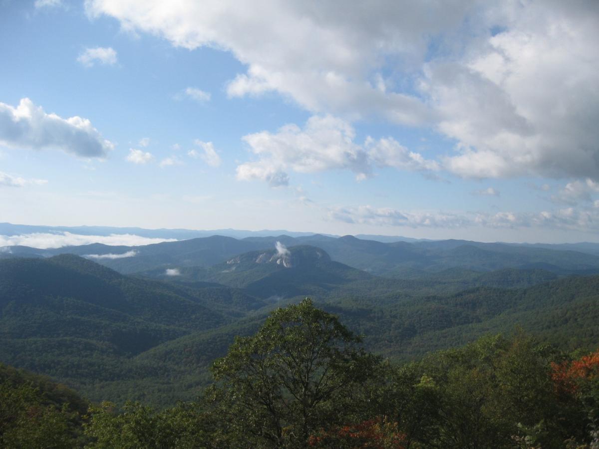 Click image for larger version  Name:	3-IMG_1554.JPG Views:	1 Size:	91.9 KB ID:	10527