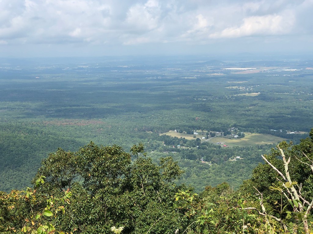 Click image for larger version  Name:	0DF5ED1F-49AC-487E-A9E6-0BE91E568C71-XL.jpg Views:	2 Size:	285.9 KB ID:	11428