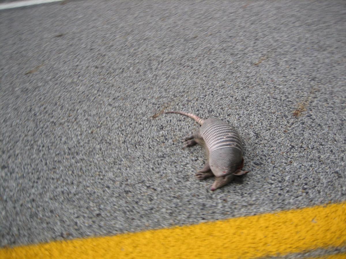 Click image for larger version

Name:	IMG_3205.JPG
Views:	2
Size:	184.9 KB
ID:	13322