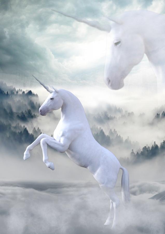 Click image for larger version  Name:	unicorn-1737897_1280.jpg Views:	1 Size:	38.4 KB ID:	14901