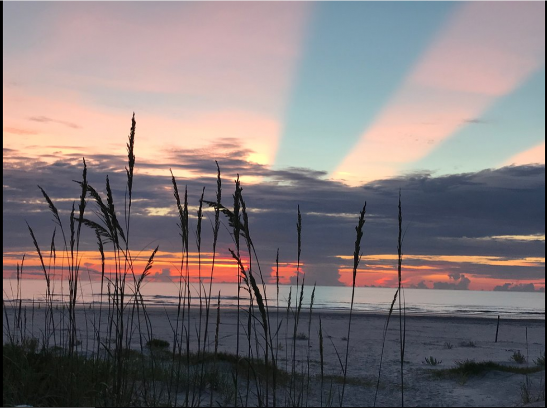 Click image for larger version  Name:	Smyrna Dunes Park At Sunrise.PNG Views:	1 Size:	952.4 KB ID:	20191