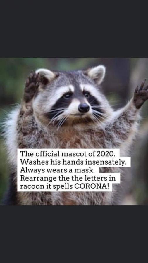 Click image for larger version

Name:	95737501_10223386327145780_4643067081011494912_n.jpg
Views:	1
Size:	44.3 KB
ID:	20472