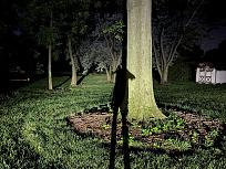 Click image for larger version

Name:	F8F341FC-0C01-4D1F-BB9F-627F79EC4A4B.jpeg
Views:	1
Size:	297.5 KB
ID:	22444