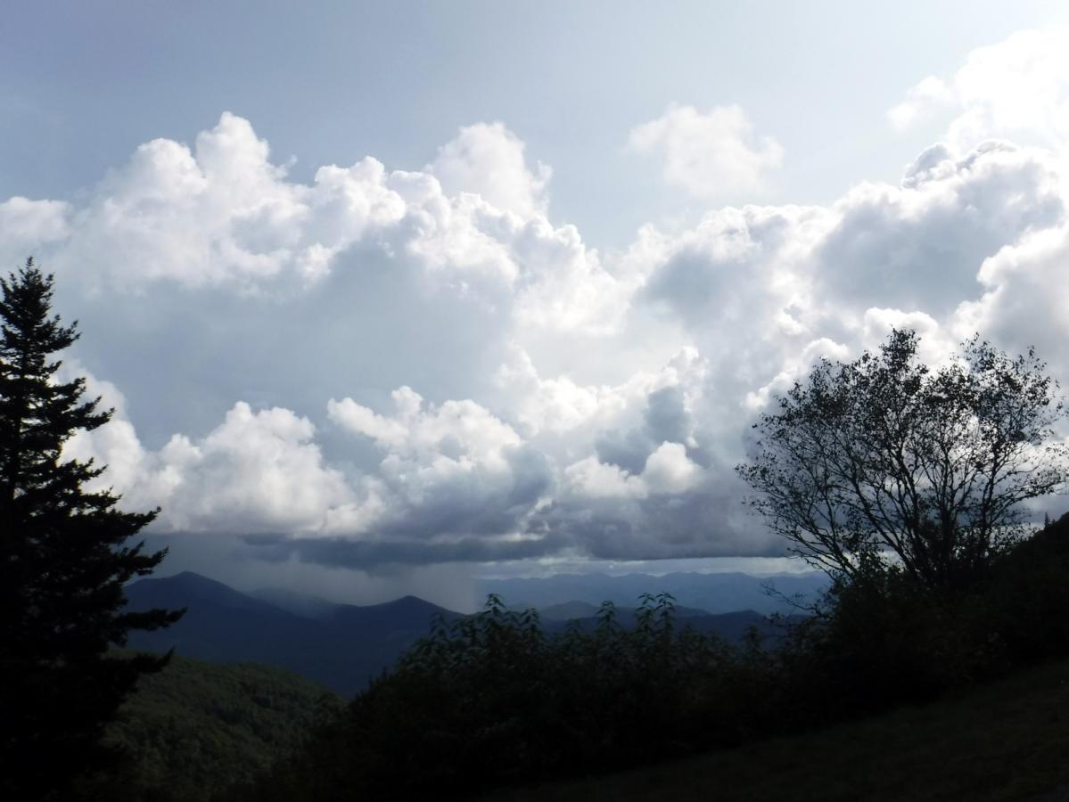 Click image for larger version

Name:	Rain.JPG
Views:	1
Size:	83.3 KB
ID:	24902