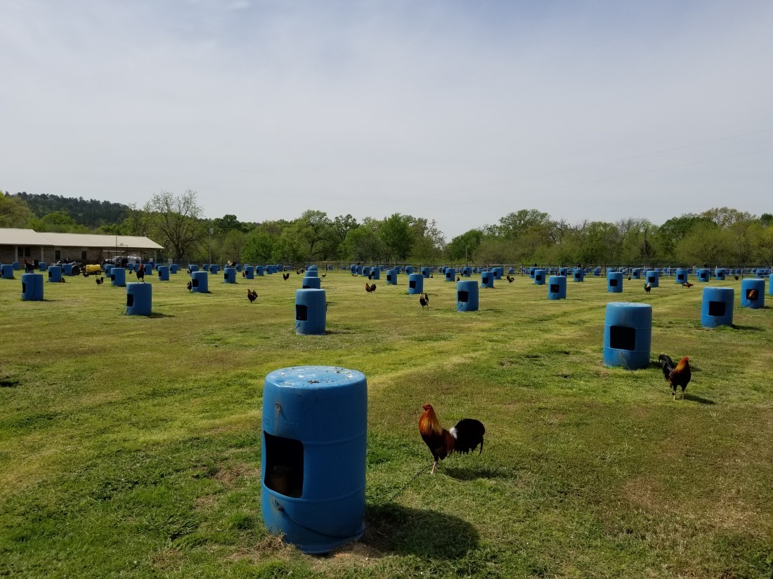 Click image for larger version

Name:	Near Stringtown Ok..jpg
Views:	1
Size:	245.4 KB
ID:	31976
