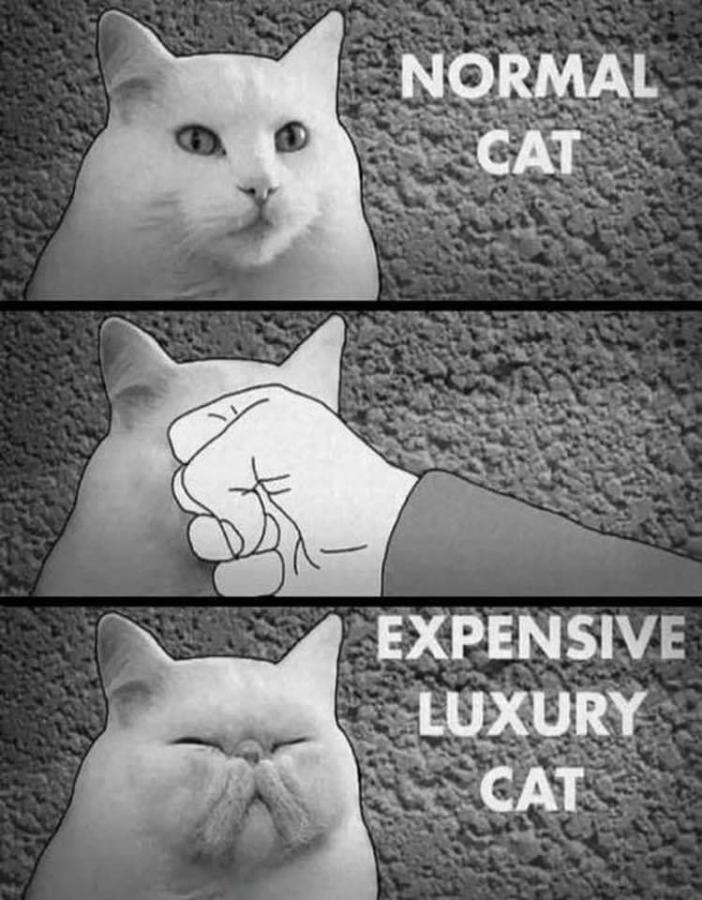 Click image for larger version

Name:	200724650_4030733160315891_8058801866447644894_n.jpg
Views:	1
Size:	91.3 KB
ID:	32981