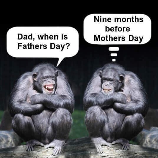 Click image for larger version

Name:	200253740_361122848774396_7358805513716132131_n.jpg
Views:	1
Size:	46.3 KB
ID:	33001