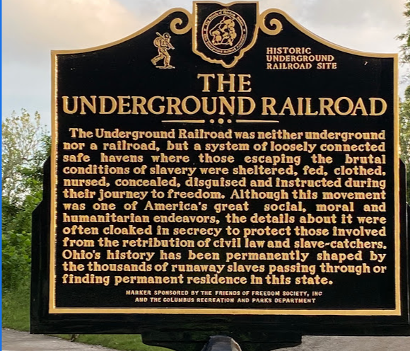 Click image for larger version  Name:	ACGT (2).PNG Views:	1 Size:	581.0 KB ID:	33181