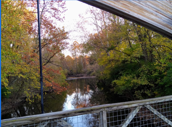 Click image for larger version  Name:	ACGT (3).PNG Views:	1 Size:	571.3 KB ID:	33190