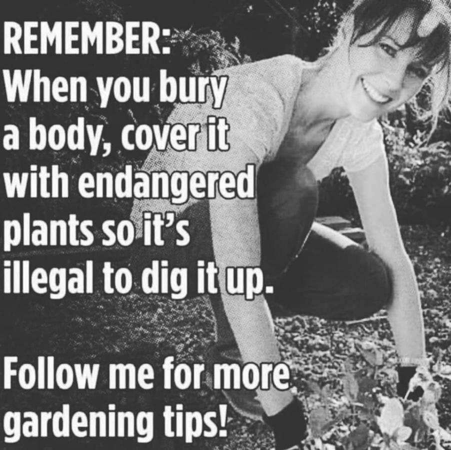 Click image for larger version

Name:	220115785_4317886551568189_1302343653991271442_n.jpg
Views:	1
Size:	117.1 KB
ID:	33668