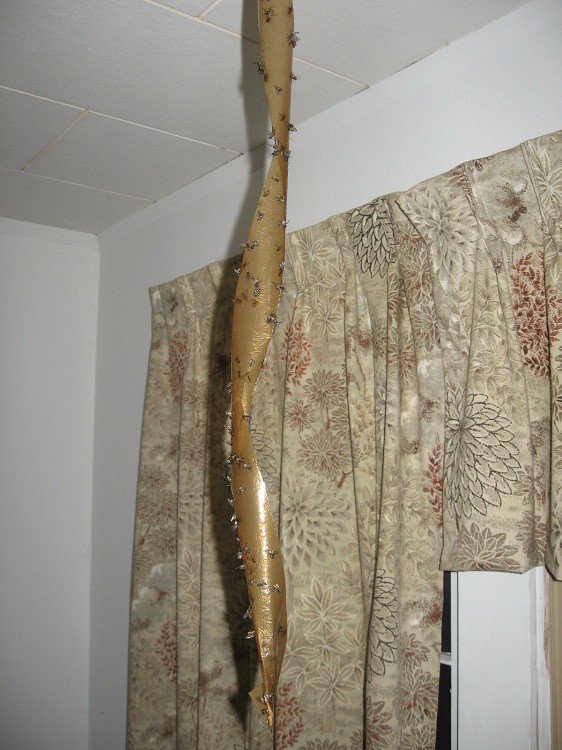 Click image for larger version

Name:	IMG_0077.jpg
Views:	1
Size:	117.2 KB
ID:	34350