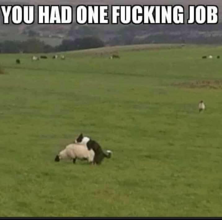 Click image for larger version

Name:	241167876_4170585999657217_909579669245068670_n.jpg
Views:	1
Size:	40.1 KB
ID:	34437