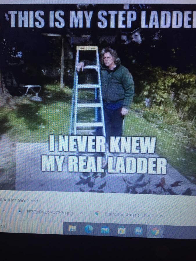 Click image for larger version

Name:	271596033_2014243658750184_6478747701663210634_n.jpg
Views:	1
Size:	96.6 KB
ID:	35167