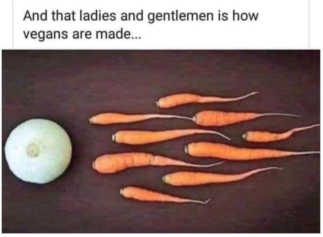 Click image for larger version

Name:	20220111_090954.jpg
Views:	1
Size:	90.0 KB
ID:	35199