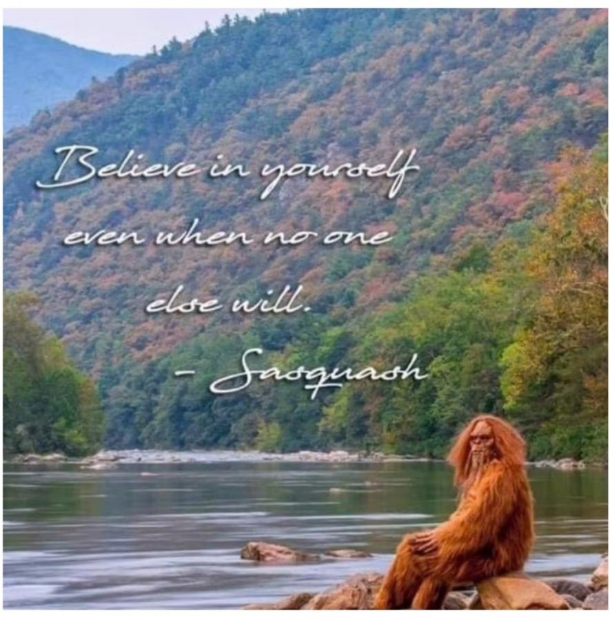 Click image for larger version

Name:	20220113_180155.jpg
Views:	1
Size:	102.7 KB
ID:	35253