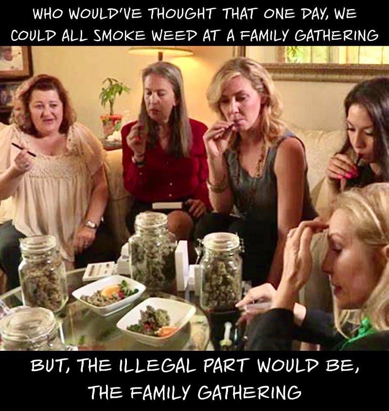 Click image for larger version

Name:	weed.jpg
Views:	1
Size:	173.3 KB
ID:	35373