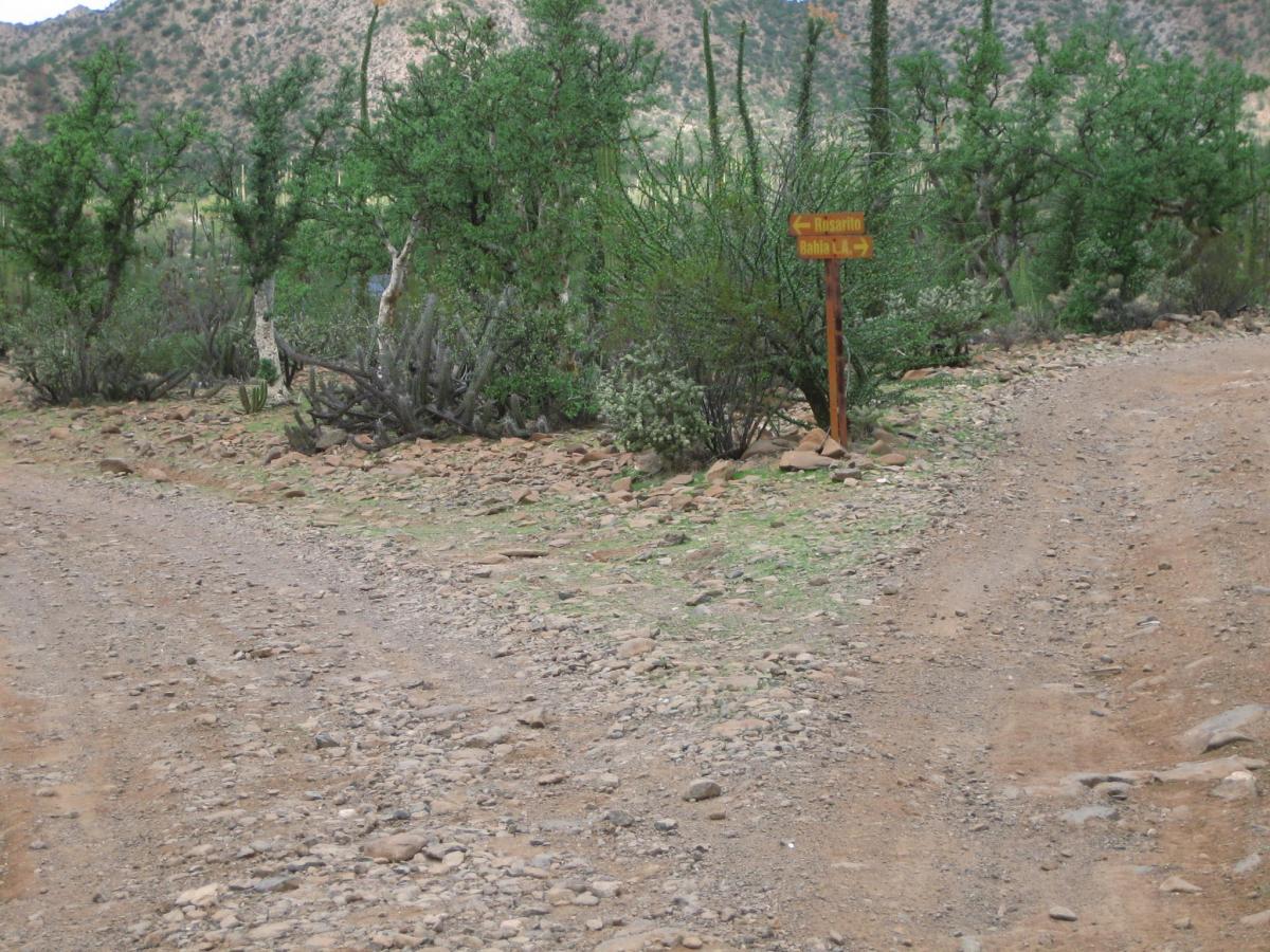 Click image for larger version

Name:	IMG_3465.JPG
Views:	1
Size:	217.3 KB
ID:	35604