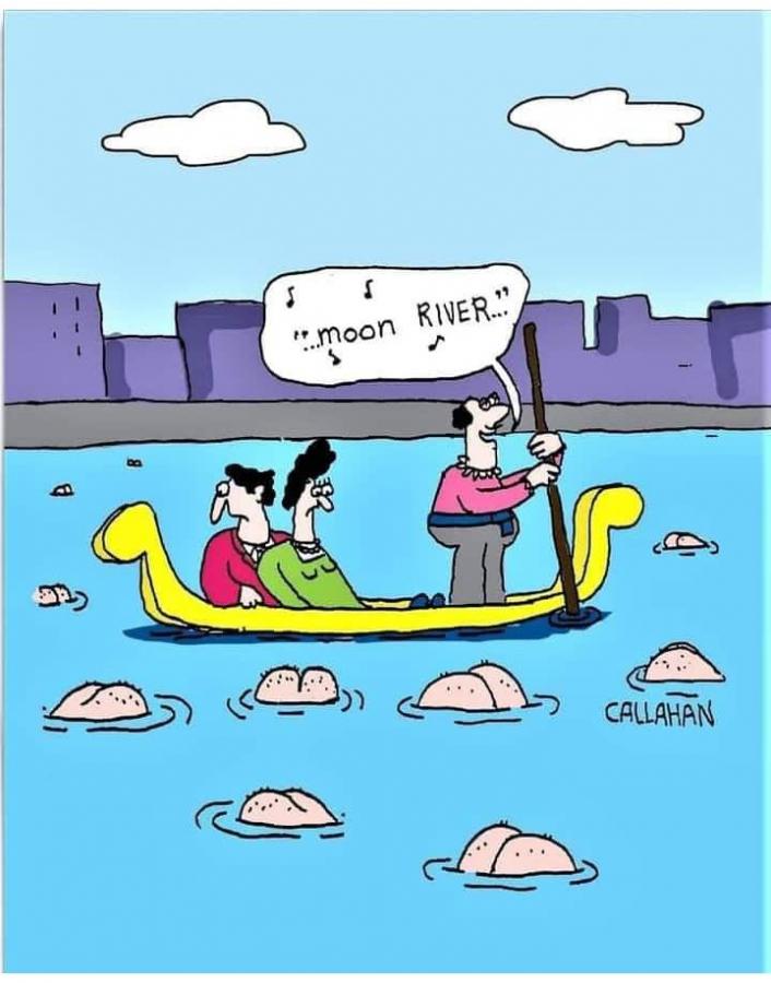 Click image for larger version

Name:	274093393_1368573820249931_5527545902193484765_n.jpg
Views:	1
Size:	61.4 KB
ID:	36462