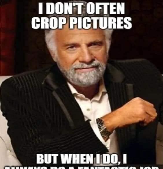 Click image for larger version

Name:	276120786_4979454868835048_7827988016061380564_n.jpg
Views:	1
Size:	38.7 KB
ID:	37290