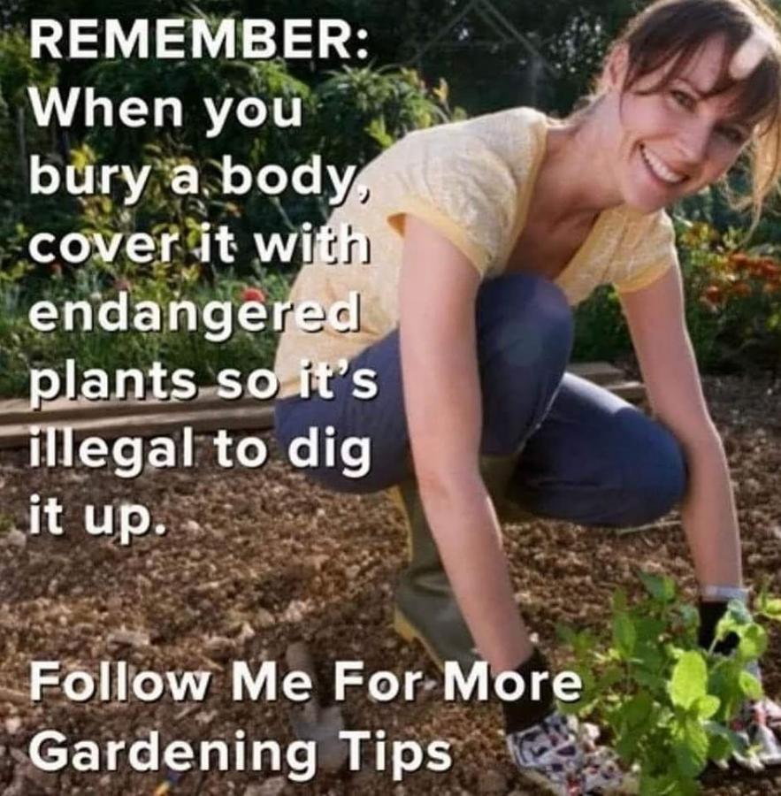 Click image for larger version

Name:	279778957_10161633747288998_5159476718389498997_n.jpg
Views:	1
Size:	120.9 KB
ID:	38580