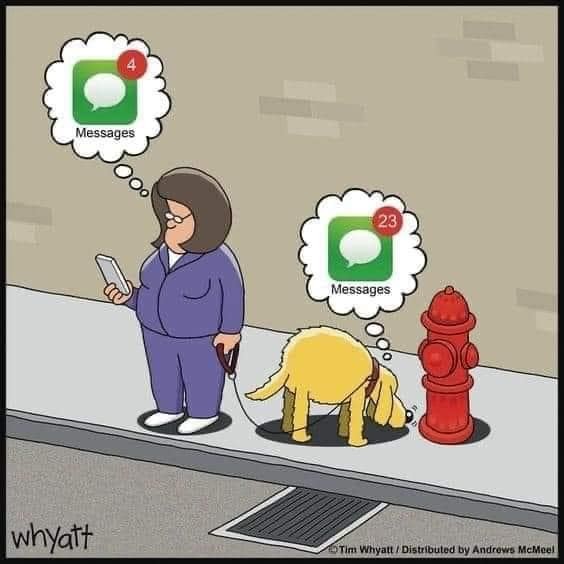 Click image for larger version

Name:	281891456_10226186530311281_468936114767785725_n.jpg
Views:	1
Size:	48.1 KB
ID:	38981