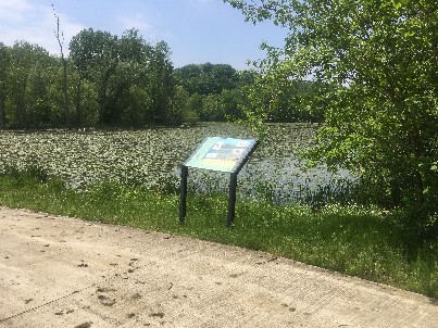 Click image for larger version  Name:	LSterBP7.JPG Views:	1 Size:	64.8 KB ID:	39005