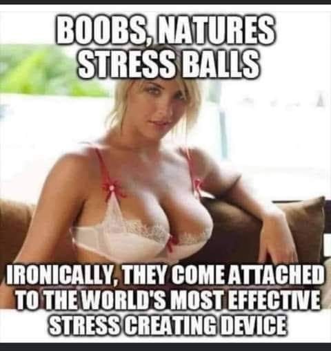 Click image for larger version

Name:	283936954_10160195653279962_36146593327003573_n.jpg
Views:	1
Size:	43.1 KB
ID:	39144