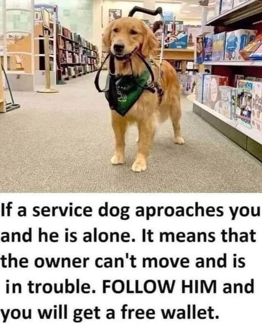 Click image for larger version

Name:	284200387_10227502567815961_5249119948753006548_n.jpg
Views:	1
Size:	88.6 KB
ID:	39368