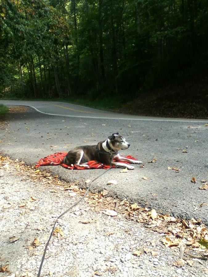 Click image for larger version

Name:	Chloe 129 a.jpg
Views:	1
Size:	178.2 KB
ID:	39510