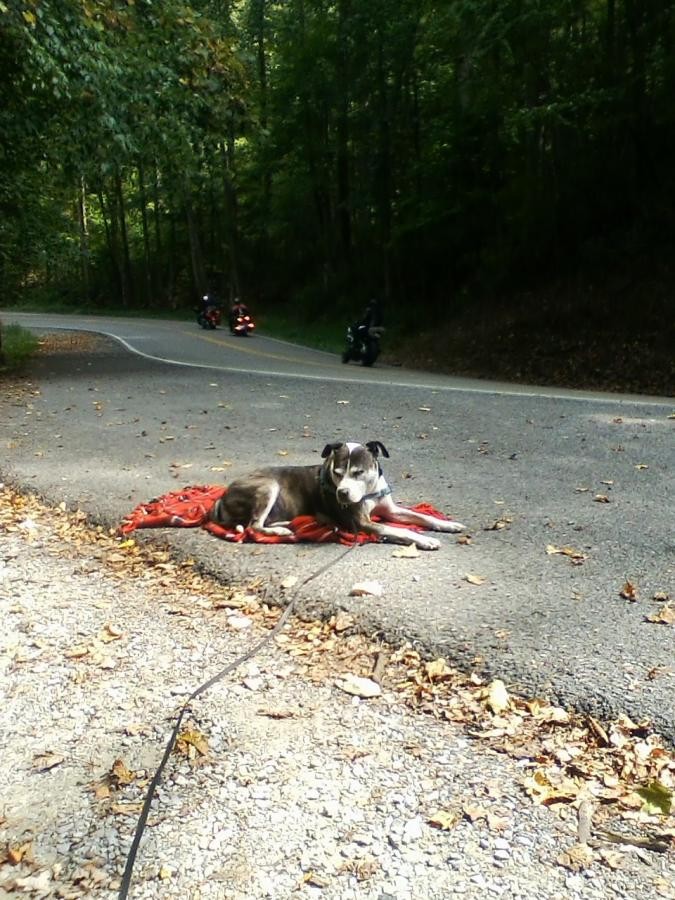 Click image for larger version

Name:	Chloe 129 b.jpg
Views:	1
Size:	182.5 KB
ID:	39511