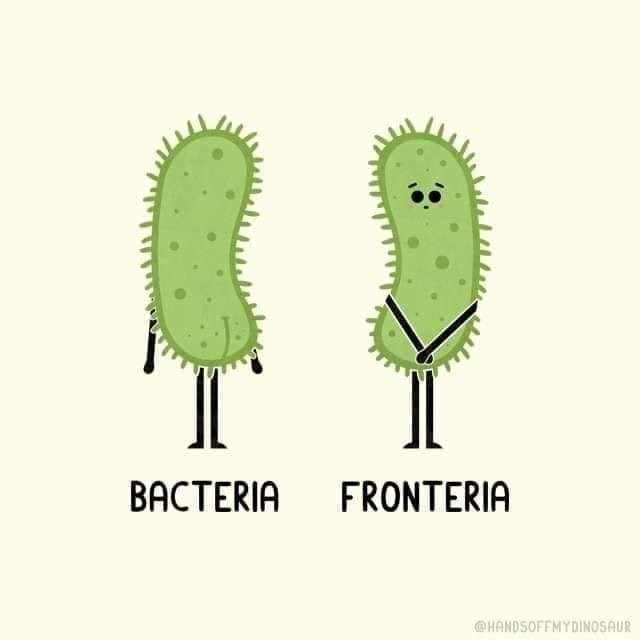 Click image for larger version

Name:	292693770_10158841962425841_5265676943792685869_n.jpg
Views:	1
Size:	24.9 KB
ID:	40238