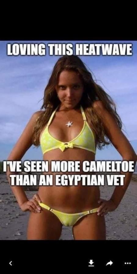 Click image for larger version

Name:	292208520_10158517418510143_4670338365741870885_n.jpg
Views:	1
Size:	44.3 KB
ID:	40336