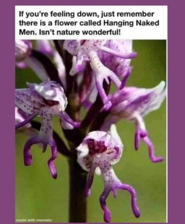 Click image for larger version

Name:	Screenshot_20220811-174245_Chrome.jpg
Views:	1
Size:	61.6 KB
ID:	41267