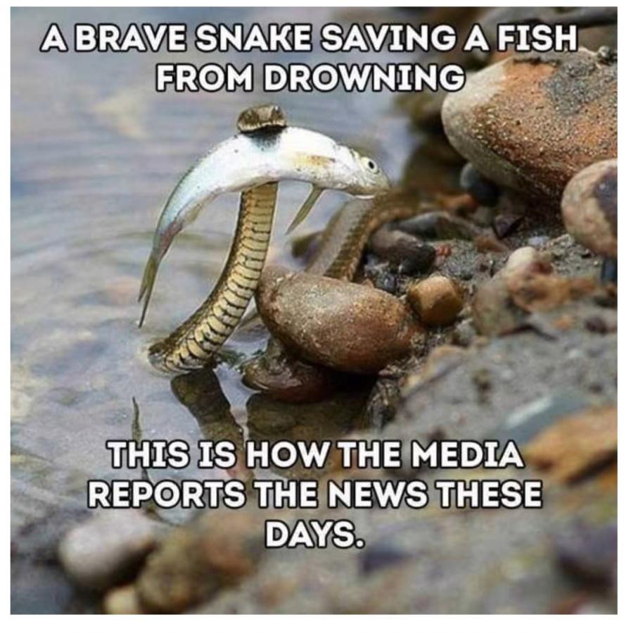 Click image for larger version

Name:	Screenshot_20220817-201807_Chrome.jpg
Views:	1
Size:	100.9 KB
ID:	41418