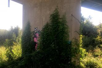 Click image for larger version  Name:	IMG_0375.JPG Views:	1 Size:	177.8 KB ID:	41576