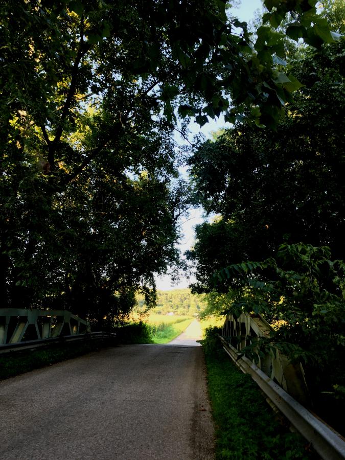 Click image for larger version  Name:	IMG_0394.JPG Views:	2 Size:	142.1 KB ID:	41579