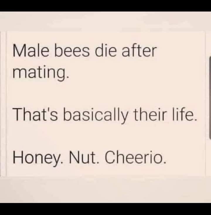 Click image for larger version

Name:	305642411_633269821766154_7570199555081983424_n.jpg
Views:	1
Size:	34.3 KB
ID:	42120