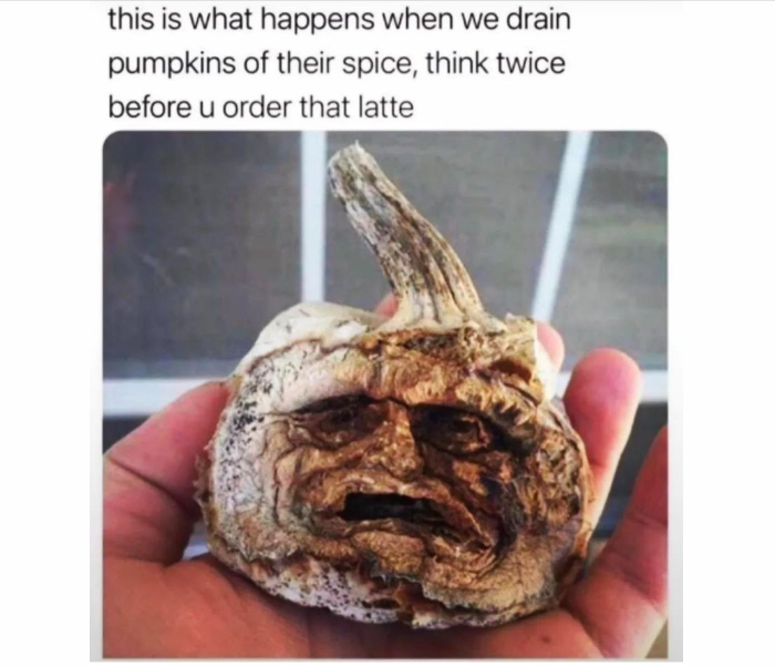 Click image for larger version

Name:	Screenshot 2022-09-12 6.48.18 AM.png
Views:	1
Size:	440.6 KB
ID:	42146