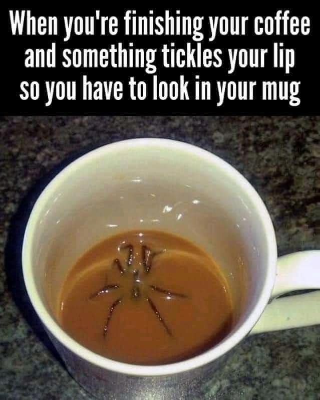 Click image for larger version

Name:	Coffee.jpg
Views:	1
Size:	68.0 KB
ID:	42847