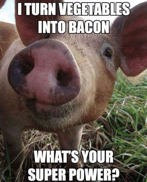Click image for larger version

Name:	pig.jpg
Views:	1
Size:	92.9 KB
ID:	42849