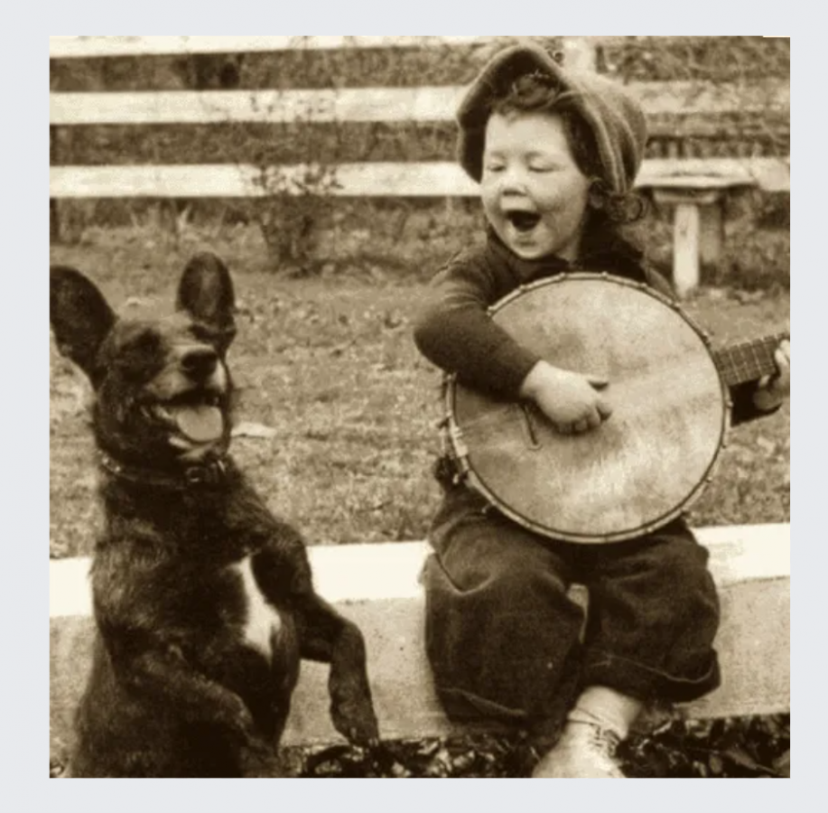 Click image for larger version

Name:	Screenshot 2022-10-25 8.43.31 AM.png
Views:	1
Size:	933.1 KB
ID:	43478