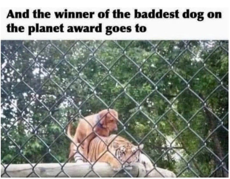 Click image for larger version

Name:	Screenshot_20221102_082330_Chrome.jpg
Views:	1
Size:	121.8 KB
ID:	43626