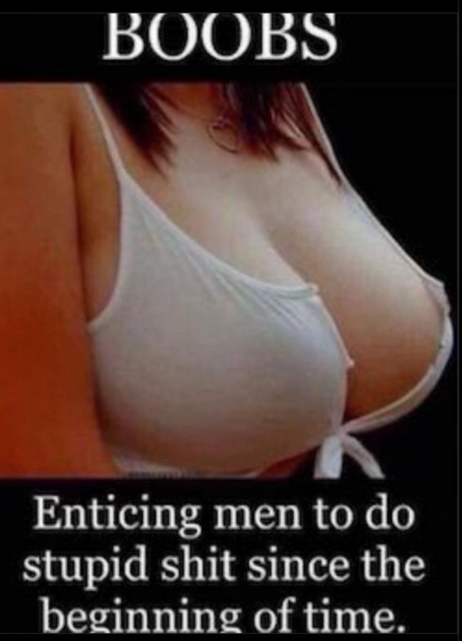 Click image for larger version

Name:	Screenshot_20221107_121258_Chrome.jpg
Views:	1
Size:	47.5 KB
ID:	43776