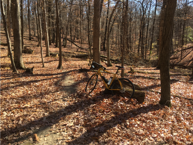 Click image for larger version

Name:	Screenshot 2022-11-07 2.36.43 PM.png
Views:	1
Size:	858.7 KB
ID:	43778