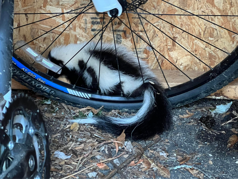 Click image for larger version

Name:	image (1).png
Views:	1
Size:	979.0 KB
ID:	43859