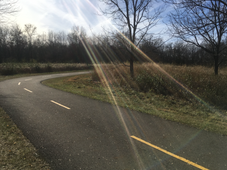 Click image for larger version  Name:	Screenshot 2022-11-11 2.22.29 PM.png Views:	1 Size:	820.5 KB ID:	43870